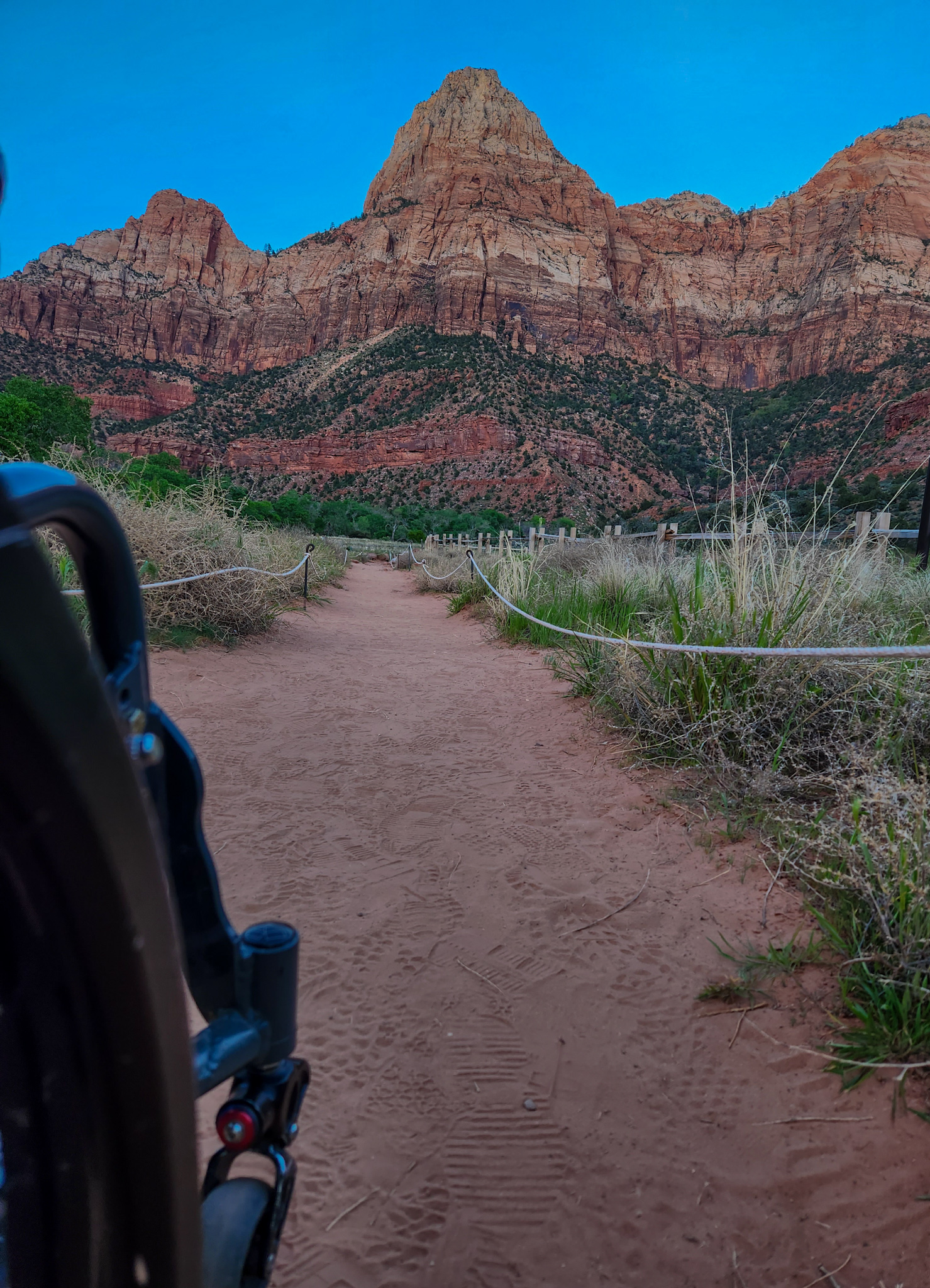 Into the Heart of Uncertainty: Embracing Fear and Finding Strength in My Health Journey”